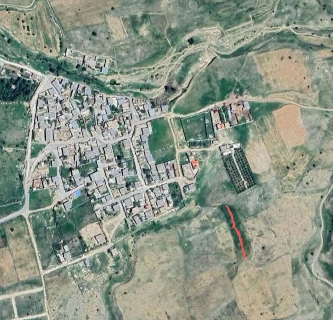 زمین باغی
