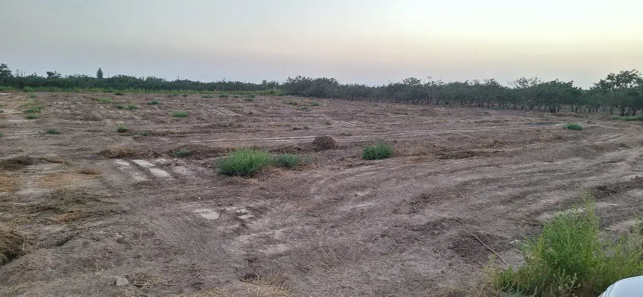 فروش ۲۰۰ قصب زمین