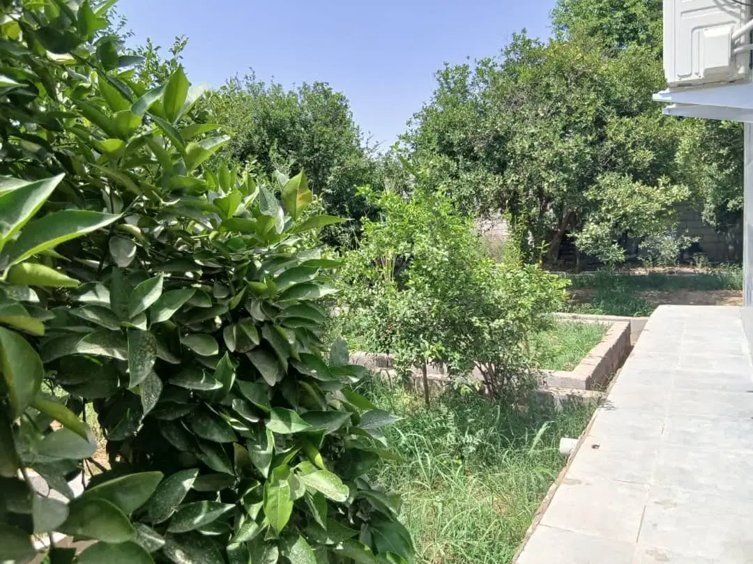 کوی مهدیس آزاده 10