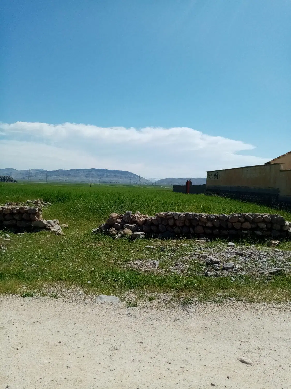زمین کشاورزی