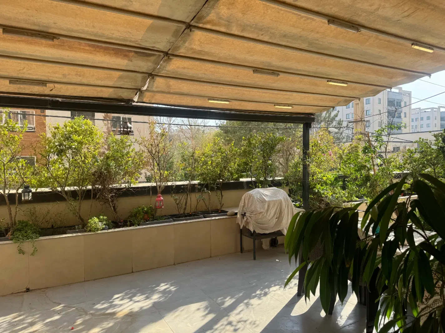 اپارتمان