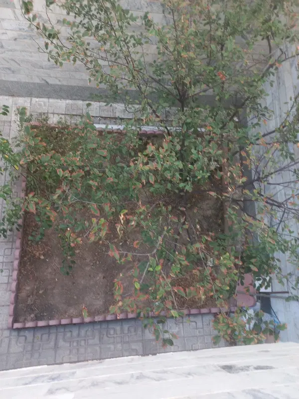 زمین  جنب بستنی میهن ۱۰۰۰متر