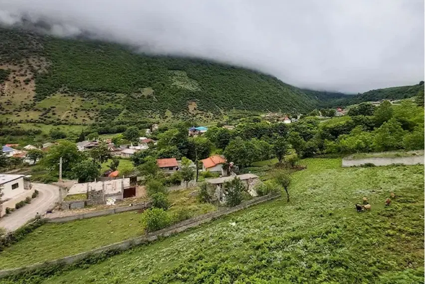 زمین در بیشه کلا