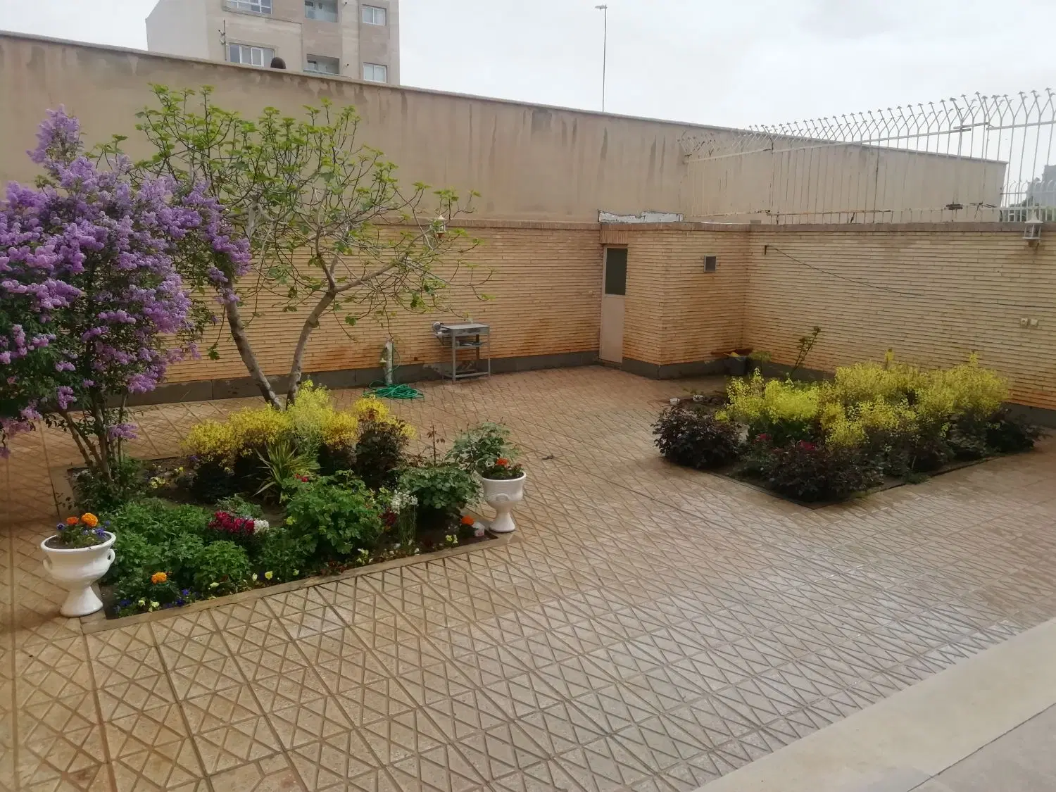 ویلائی جنوبی