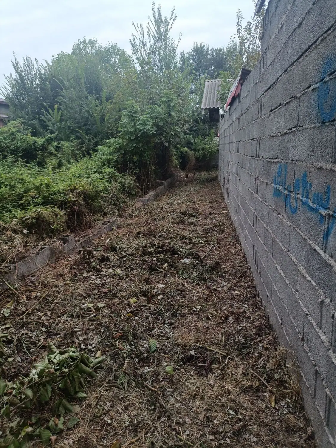 فروش فوری زمین مسکونی روستایی ۲۲۵متررشت سنگر