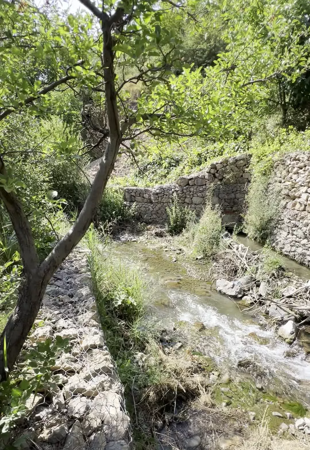 فروش زمین مجاور رودخانه در دماوند