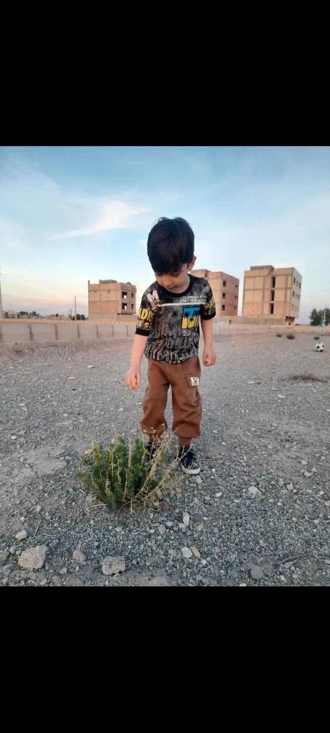 فروش زمین