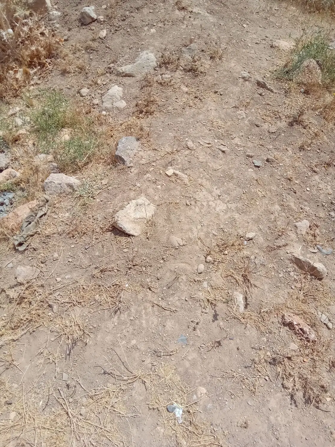 ۲۵۱متر‌زمین‌جای‌منزل‌به‌فروش‌میرسد