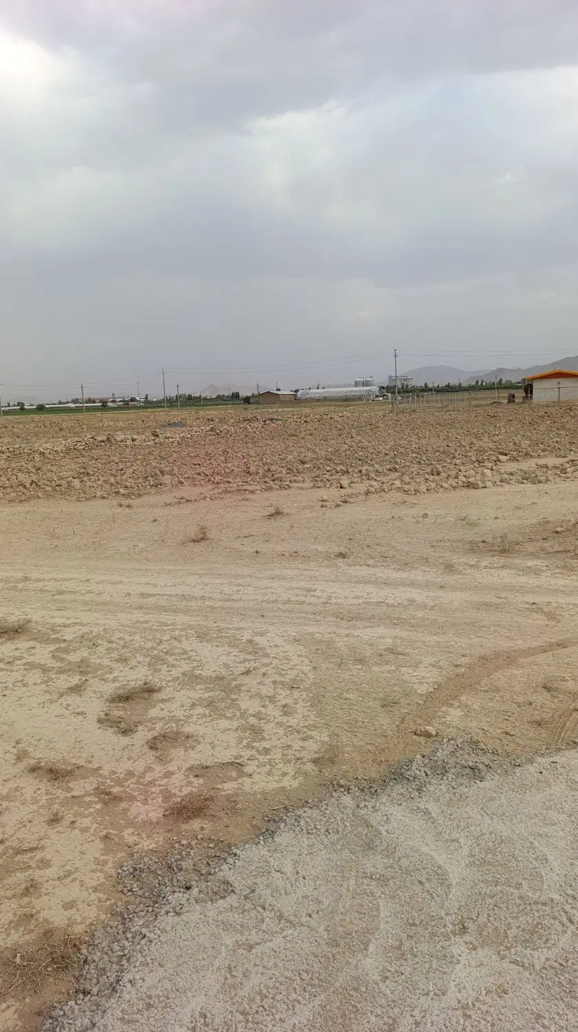 زمین باغی