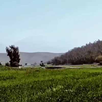 فروش زمین کشاورزی و باغی واقع در جاده ملایر