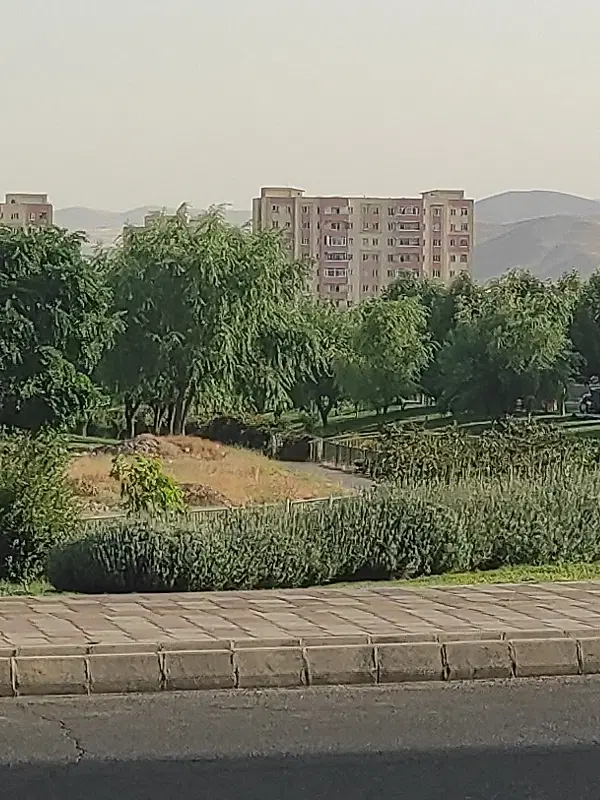 فیش صفا پارک