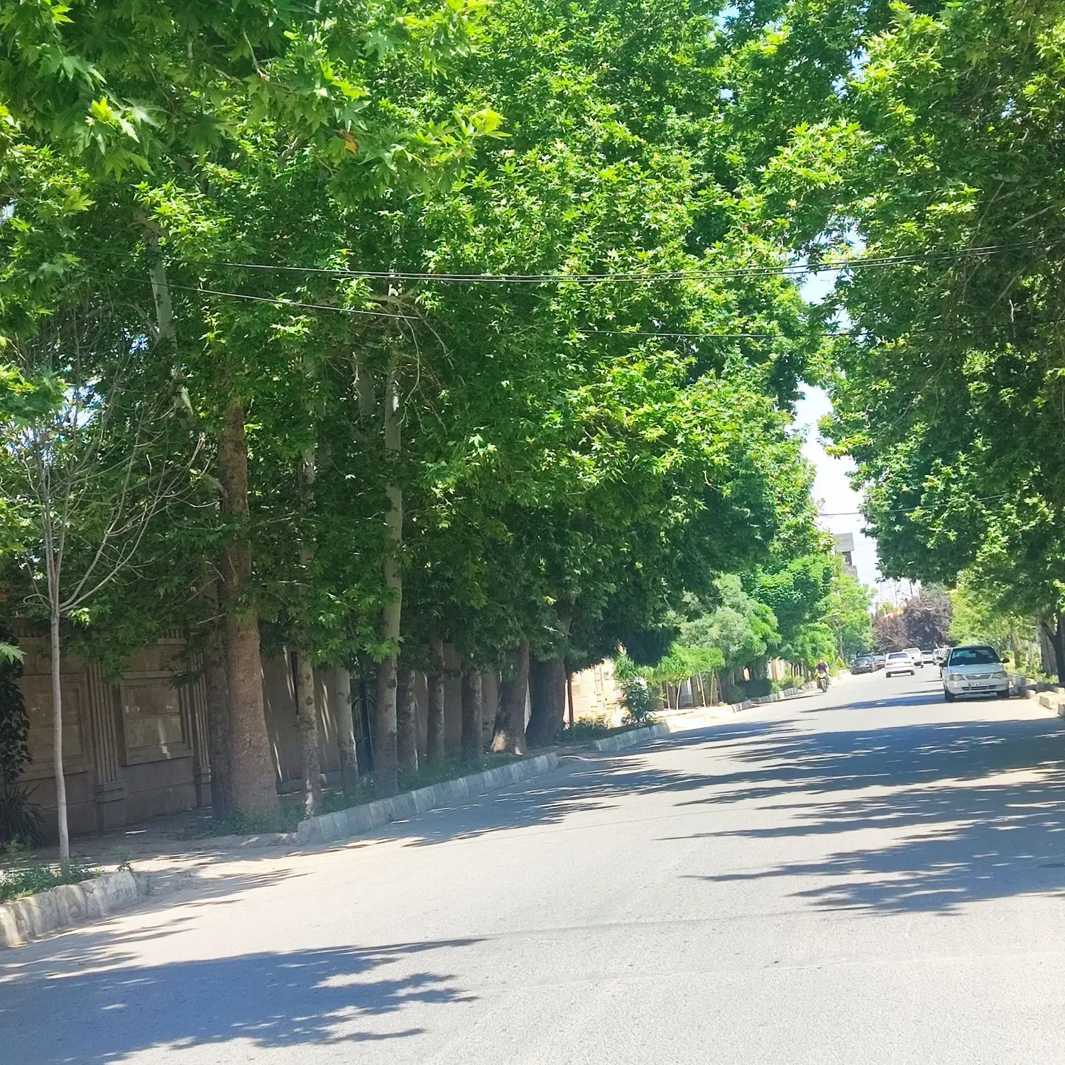 چهارباغ،باغ ویلا،استخر،اجاره سالیانه، مبله و فرنیش