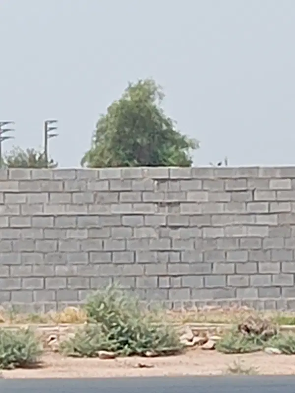 زمین باغچه نزدیک دزفول