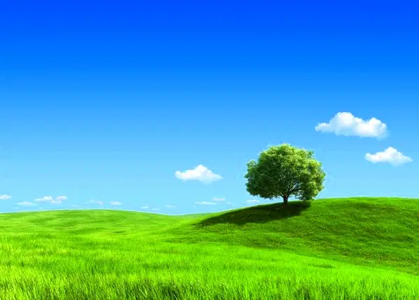 زمین کشاورزی 55 هکتار در محدوده فارس