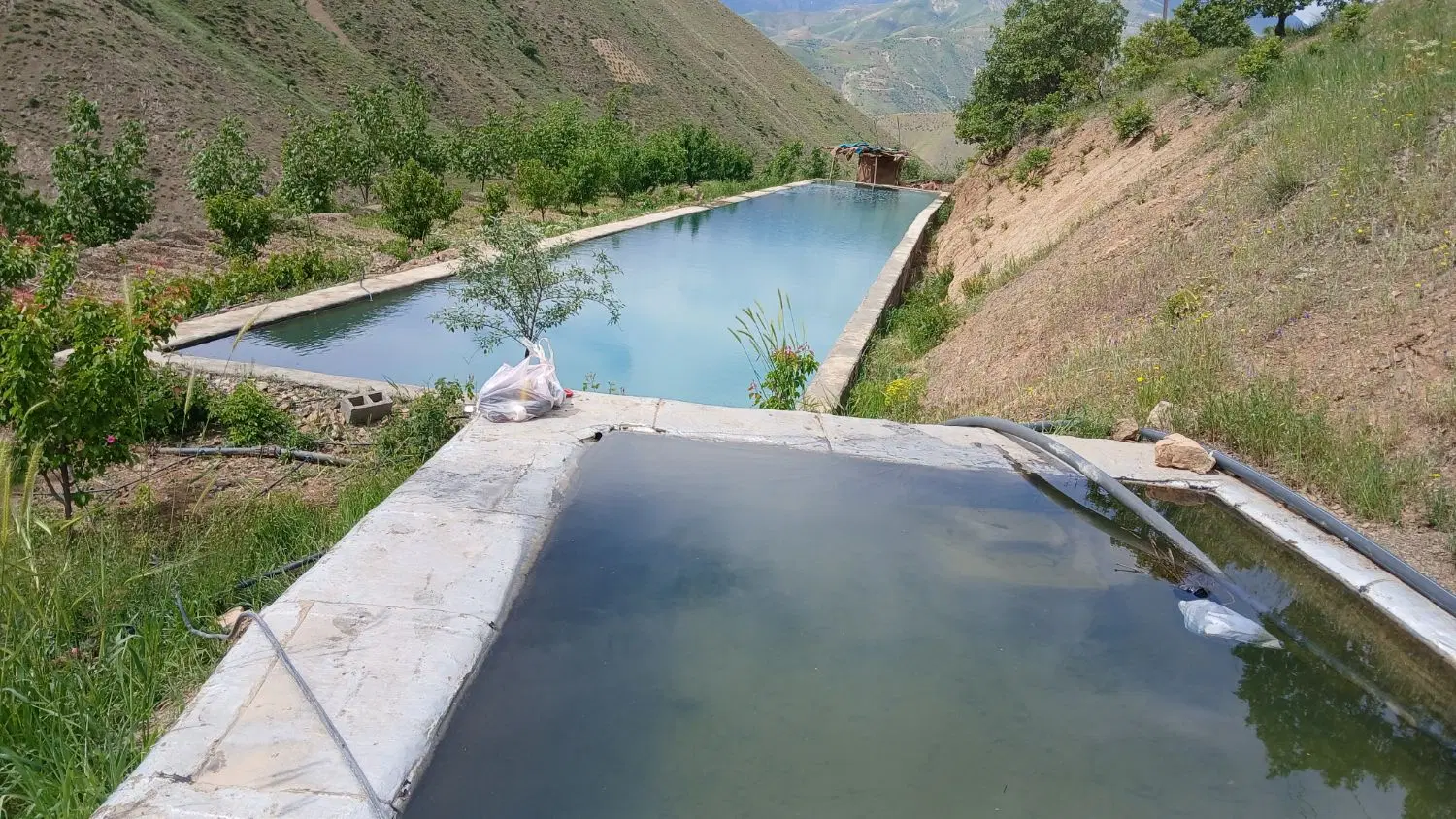 باغ و زمین کشاورزی