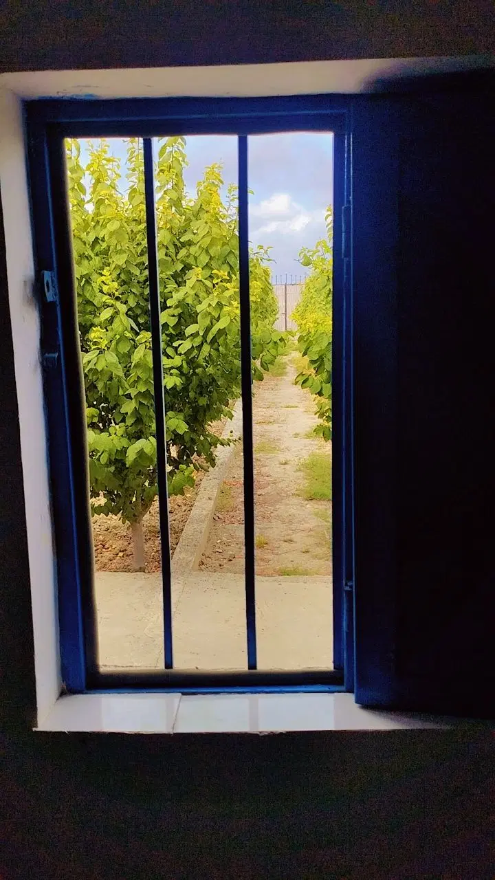 زمین باغی کریم اباد جاده استادیوم.