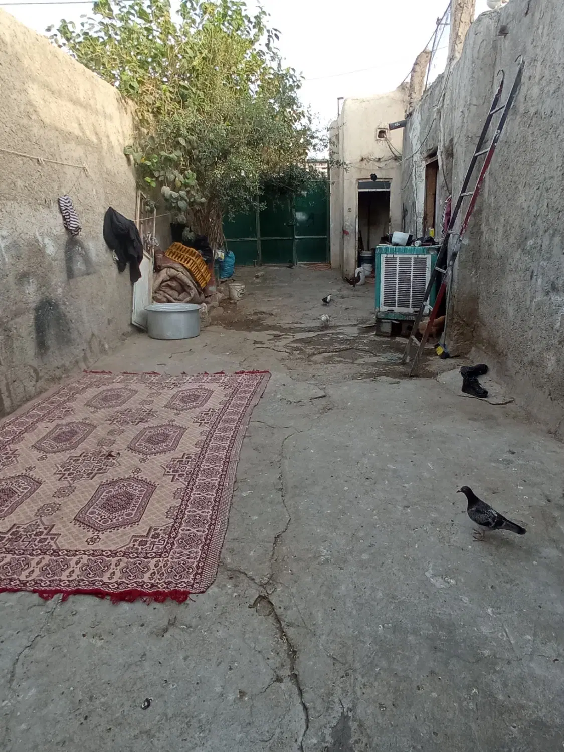 خانه