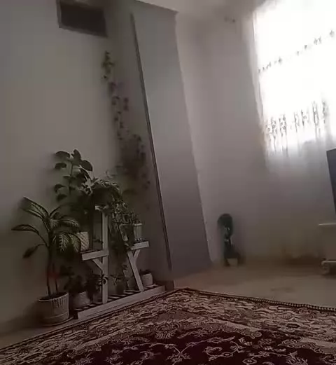 همخونه‌خانم