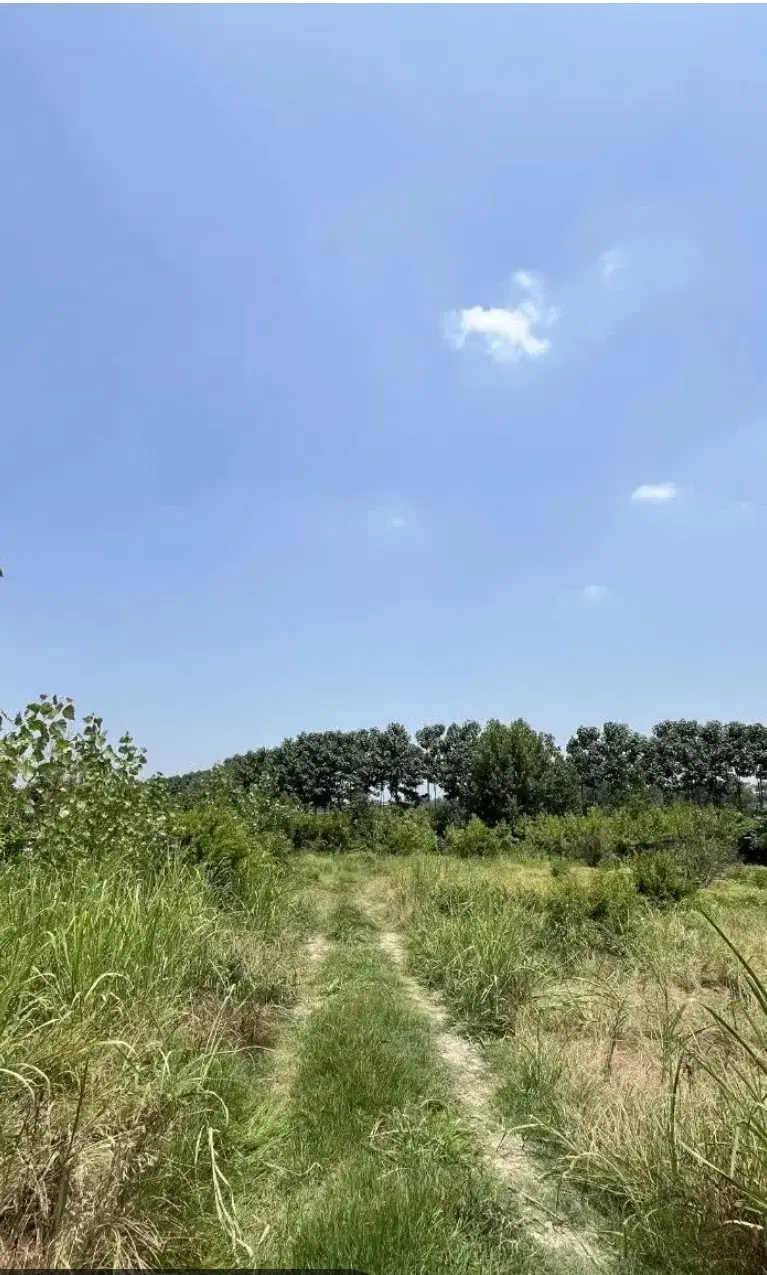 زمین نزدیک شهرک گلها کرمانشاه