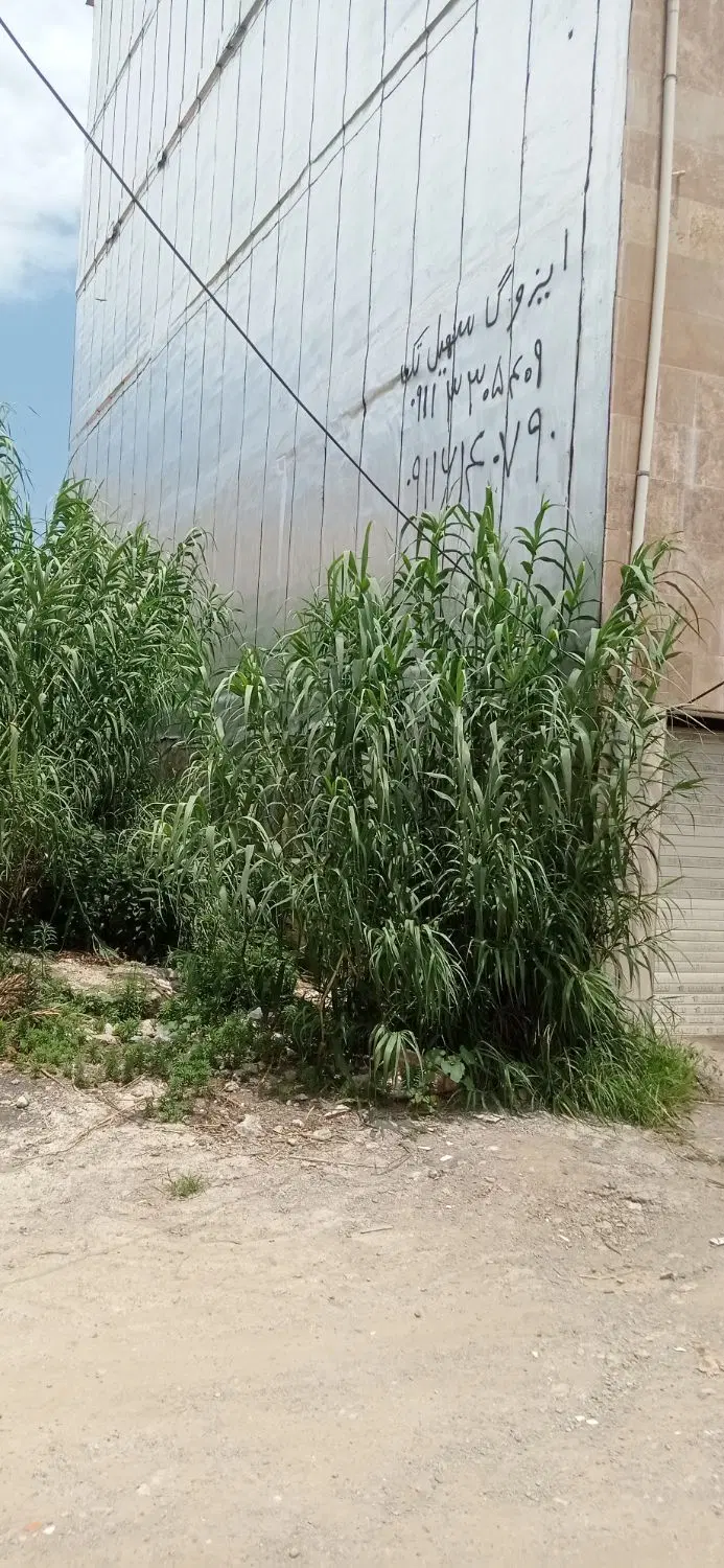 زمین مسکونی 150 متری