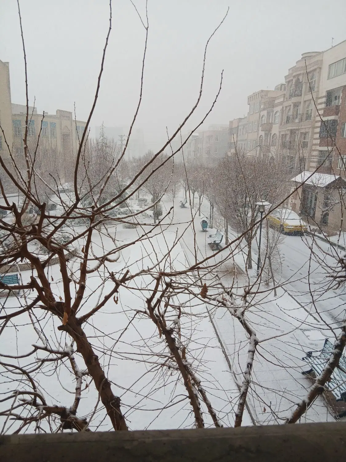 ۸۸۰مترزمین جنوبی  شهرک ناز