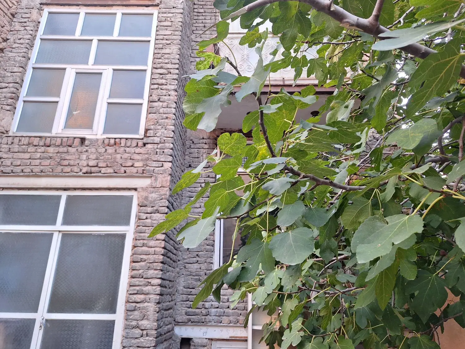حیاط در ارک جدید  کوچه ی میناساز
