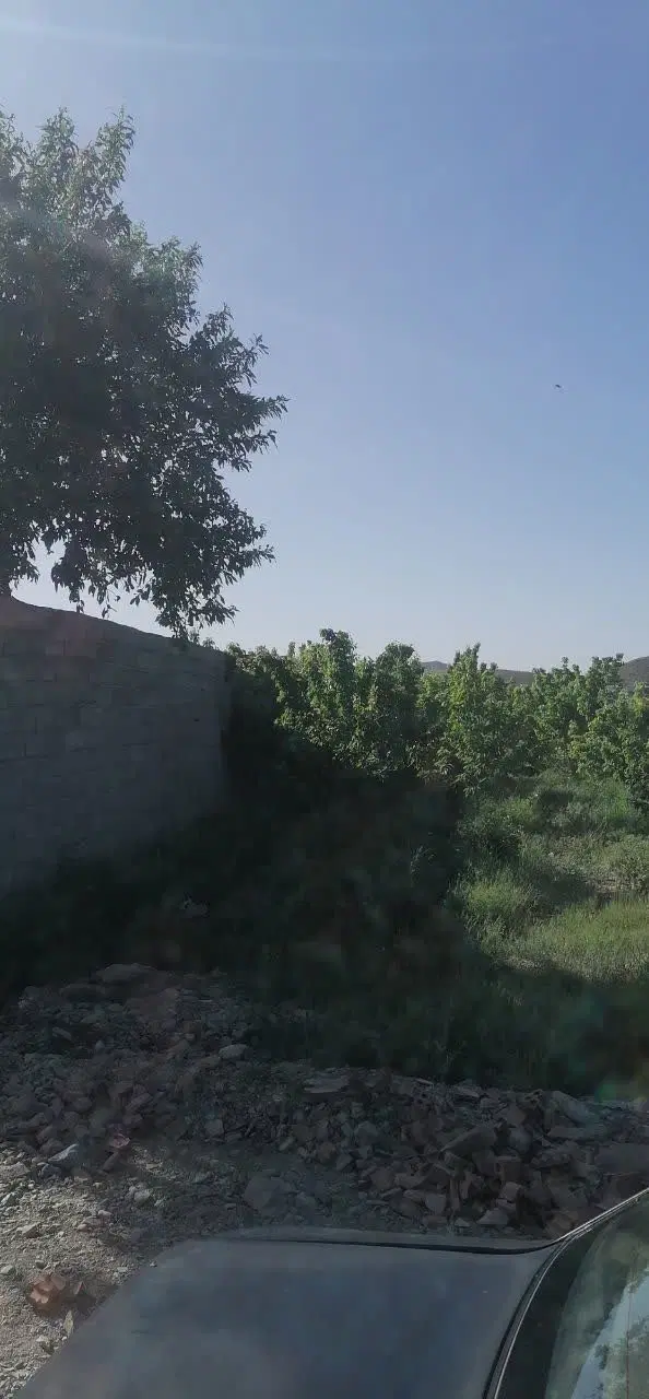 زمین  عرب آباد ماهان