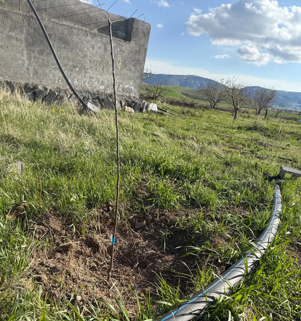 باغ ویلایی دارای استخر در اهر روستای دهستان