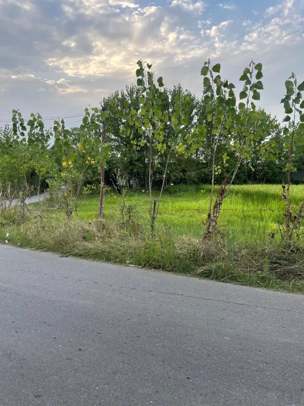 ۴۷۰ متر زمین فروشی مسکونی