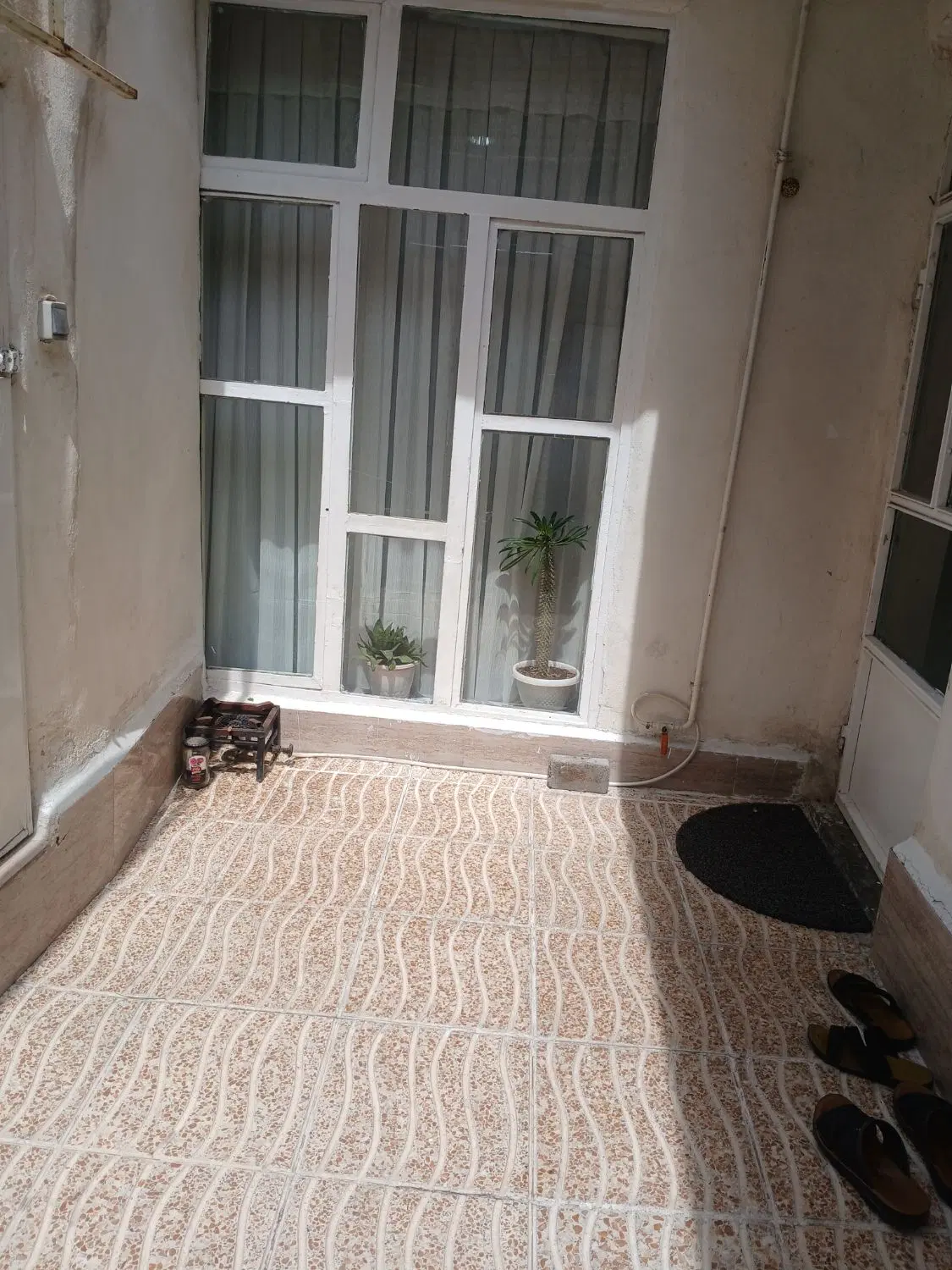 دربست