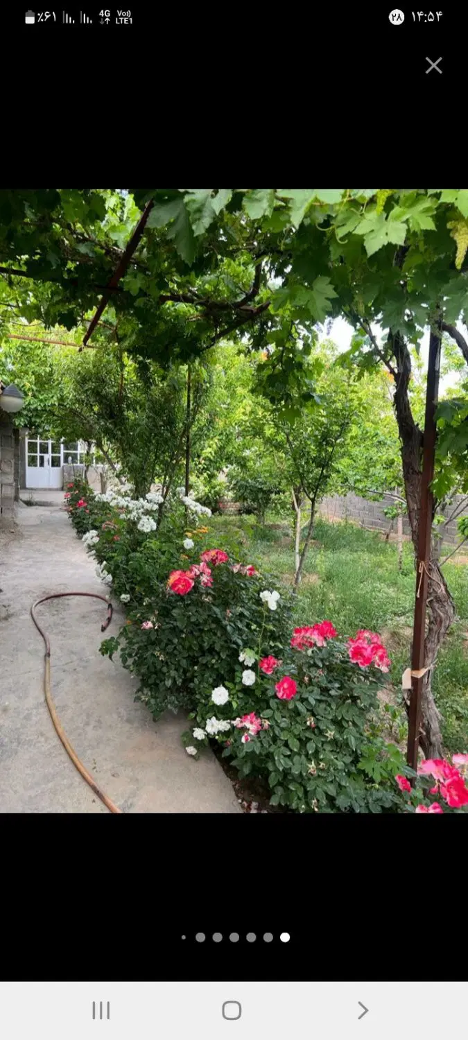 باغ ویلا ۵۰۰ متر در باغشن دانه کاشفیه