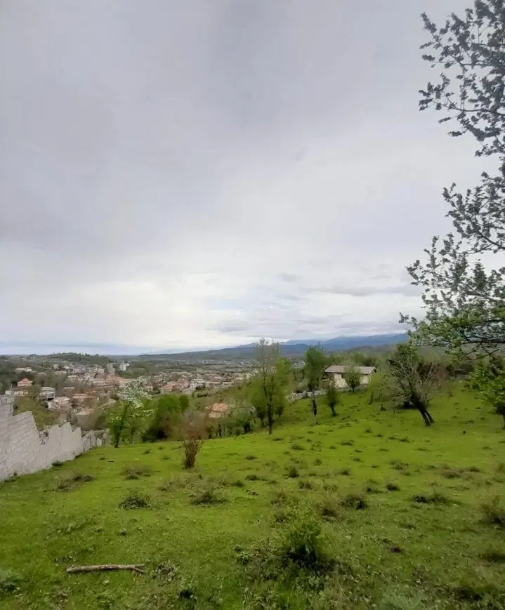 زمین مسکونی شهری سندتک برگ