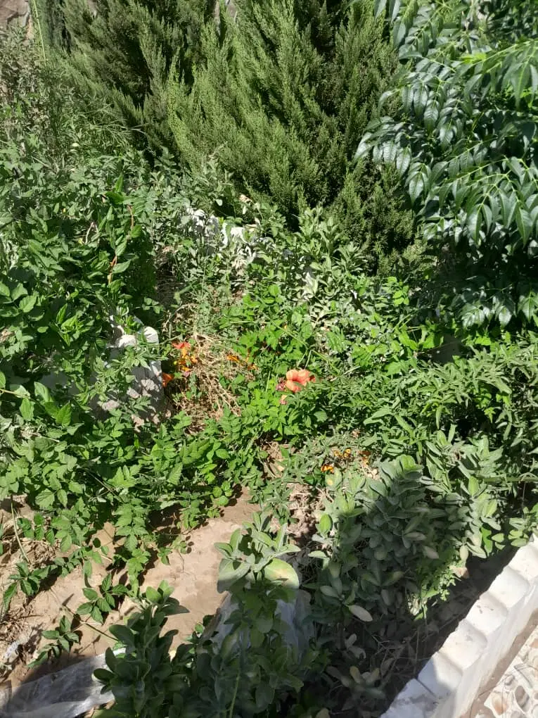 خونه فروشی در مکران ۶