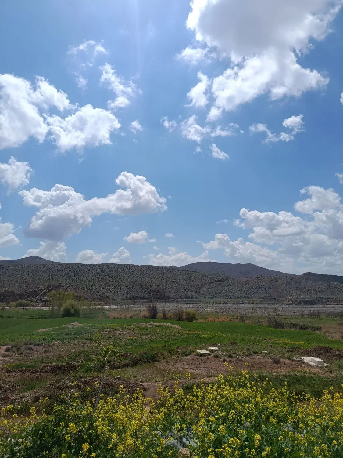 زمین