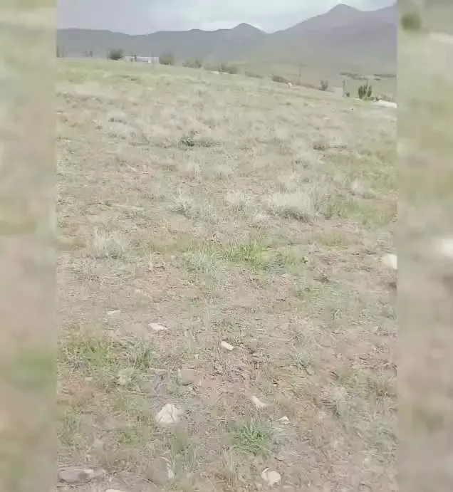 زمین با ویو ابدی دارای اب و