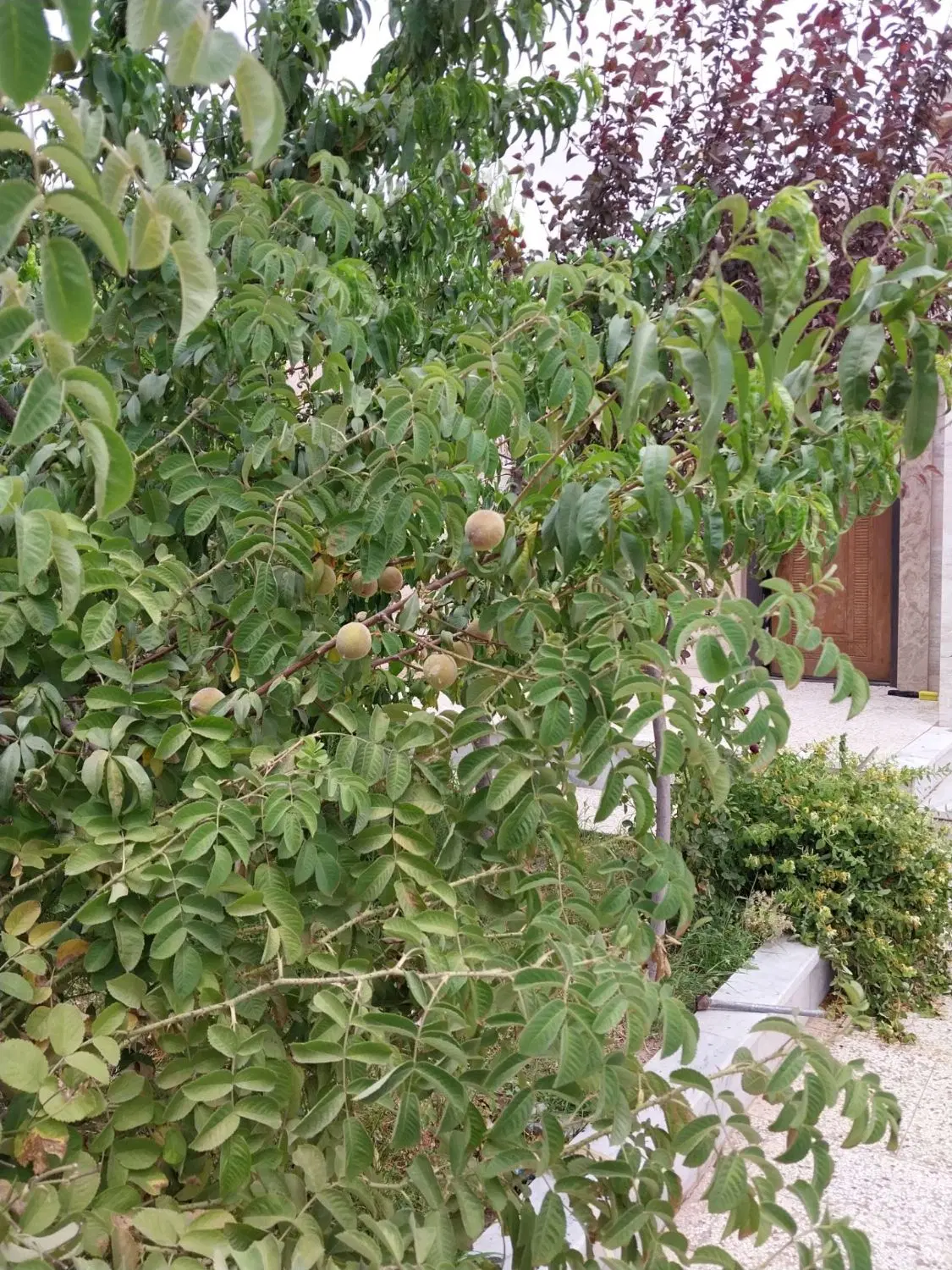 خانه ویلایی دربست سردونبش تقاطع بلوار اصلی