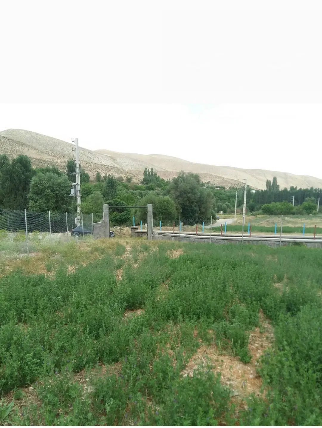 تنگه واشی بر اصلی آسفالت با مجوز ساخت گردشگری