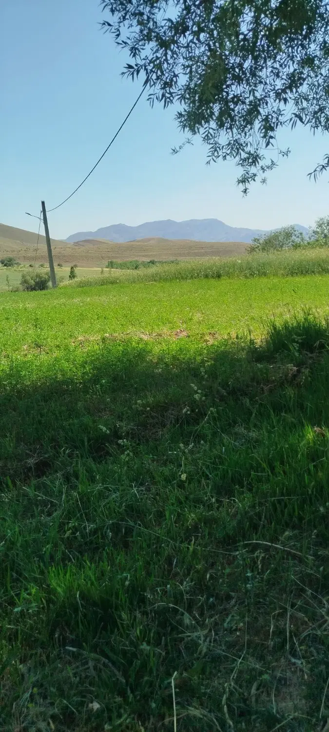 زمین محمدیه