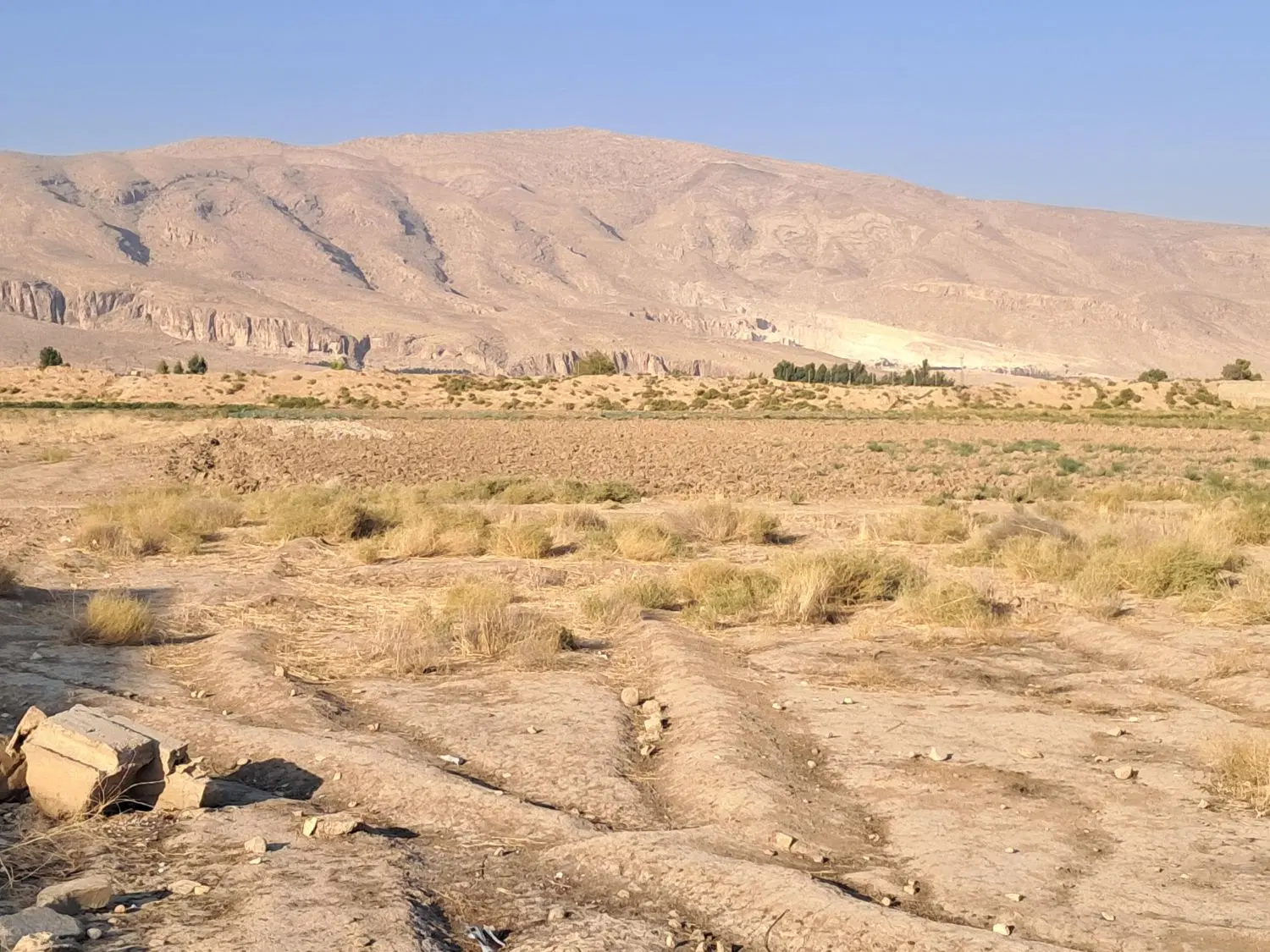 زمین خارج طرح ۱۷۶ و ۲۲۰ متر بلواراتحاد