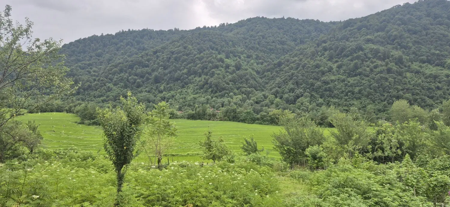 زمین ۳۱۵متری مسکونی