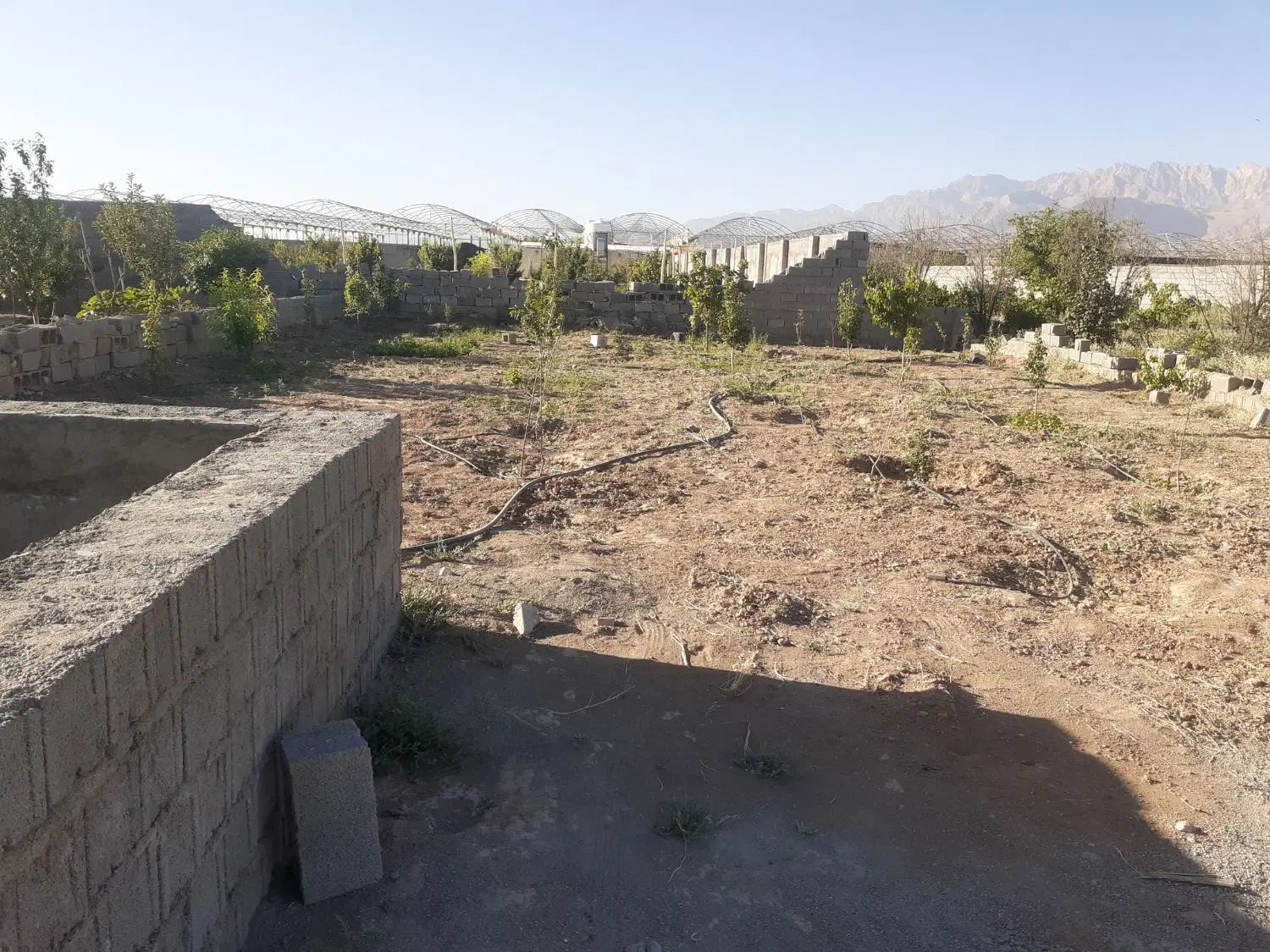 زمین باغی هفت باغ دوراهی محی اباد معاوضه