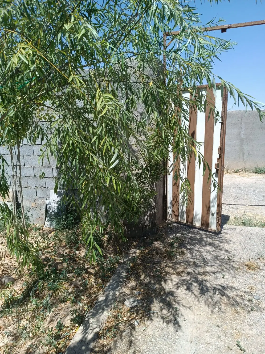 ۵۰۰مترباغ باچهل درخت۵ساله زاک امام حسین۲