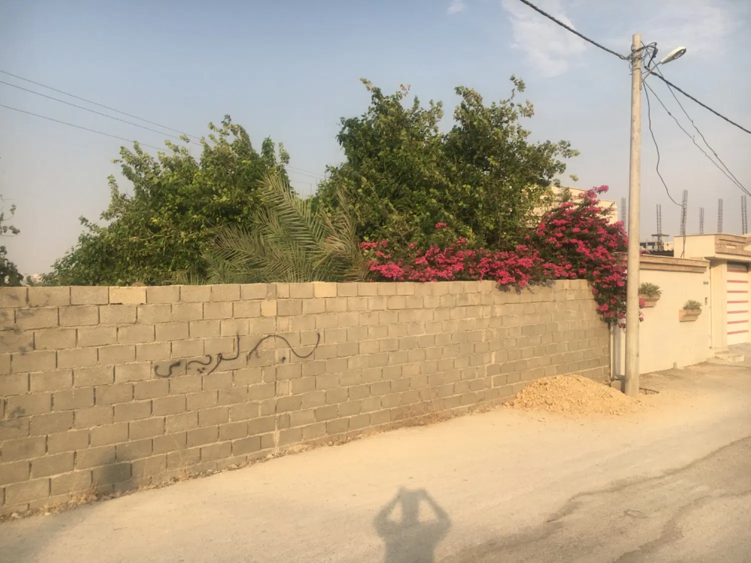 زمین بهارستان