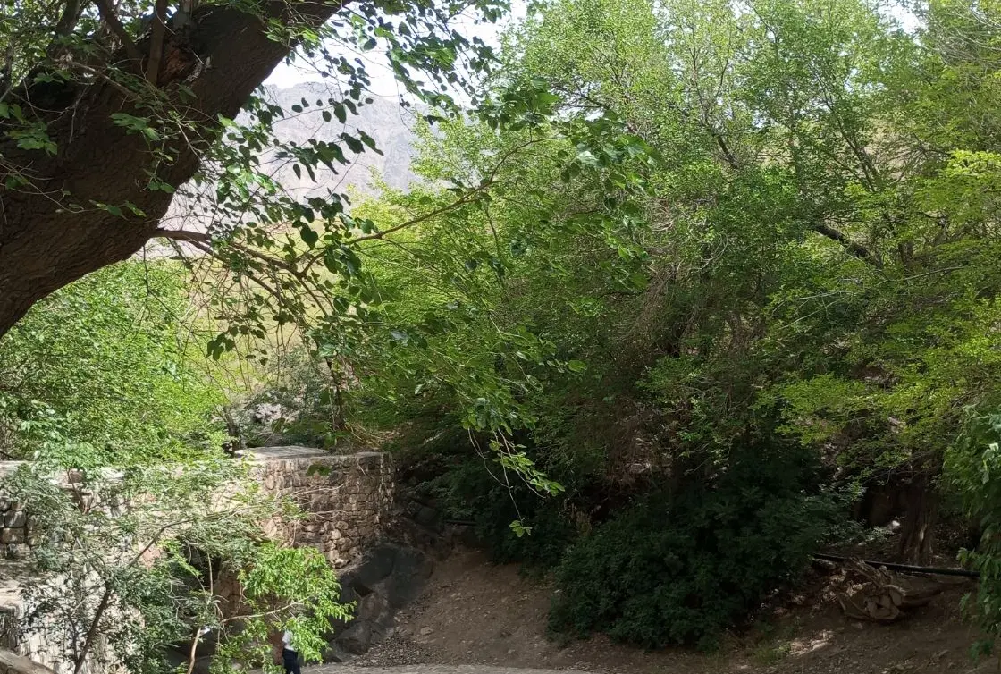 زمین کشاورزی شریفلو نصیرکندی