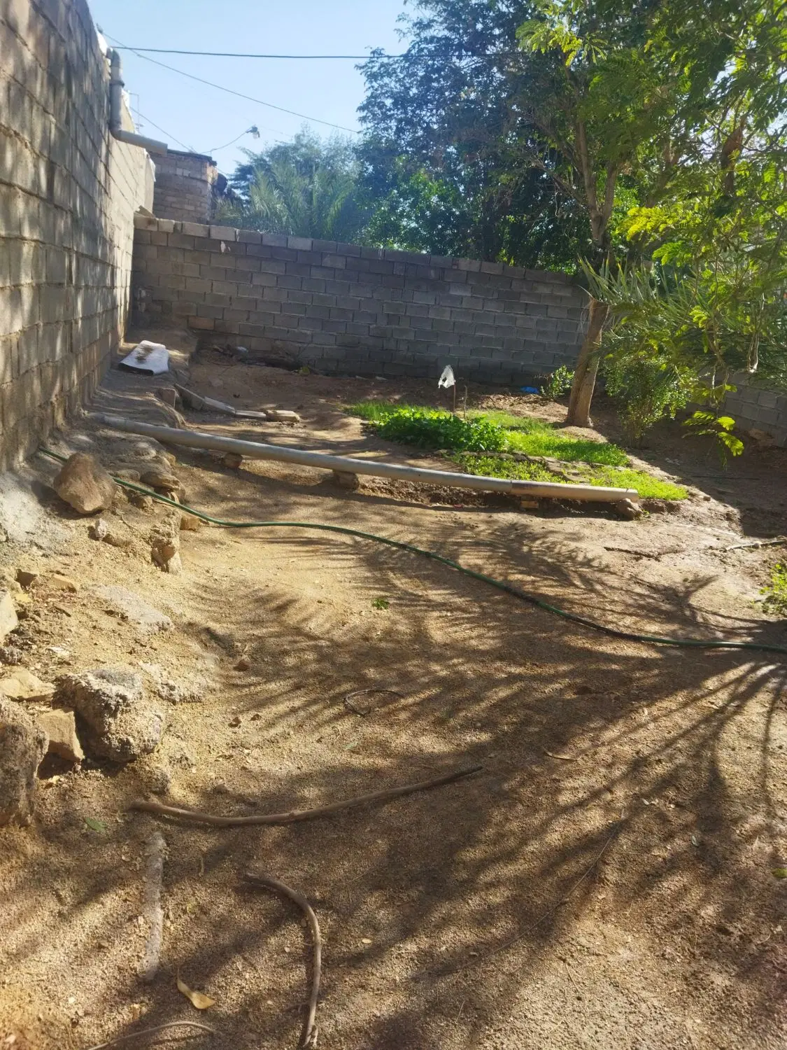 زمین