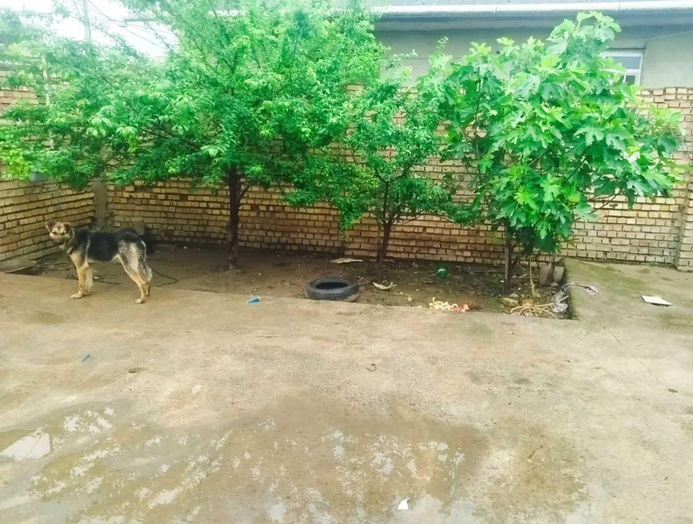 خونه ویلایی
