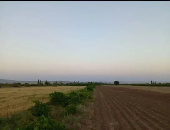 باغ و زمین بهمراه آب ملکی(شاهرود)