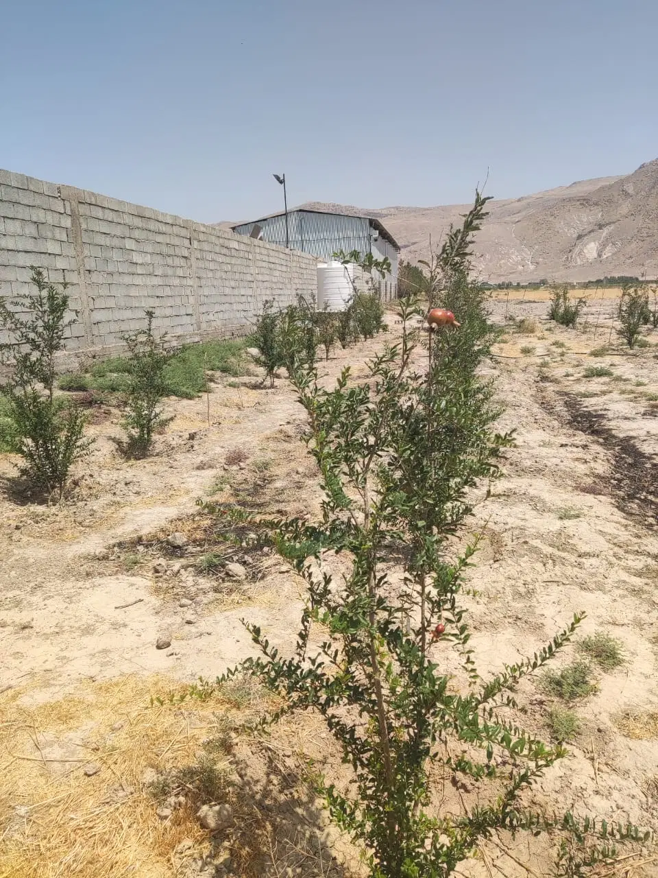 باغ شهری با سهمیه آب هفتگی