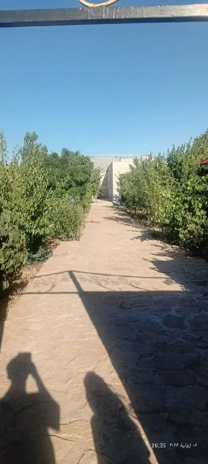 باغ ۵۰۰ متری در گنبدواز