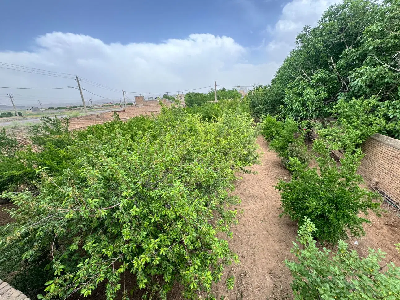 زمین